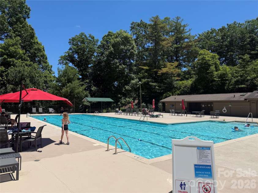 558 Middle Connestee Trail, Brevard, NC 28712.  MLS# CAR4391380, YatesRealty ID 38722. Pool