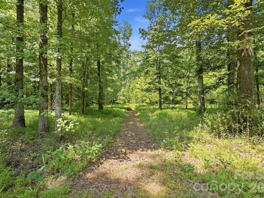 9151 Vagabond Road, Charlotte, NC 28227.  MLS# CAR4383699, YatesRealty ID 38758. 