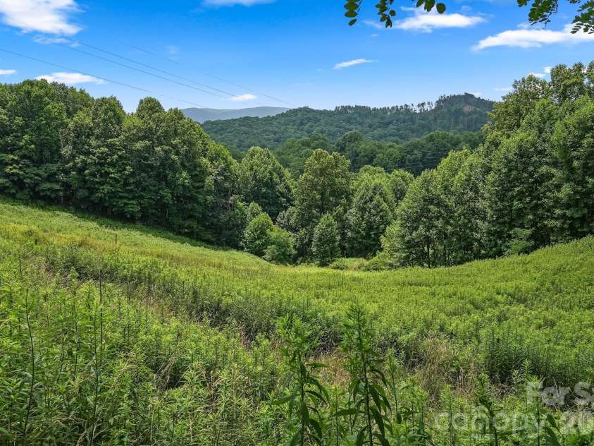 244 Flat Springs Road, Elk Park, NC 28622.  MLS# CAR4401823, YatesRealty ID 38795. 