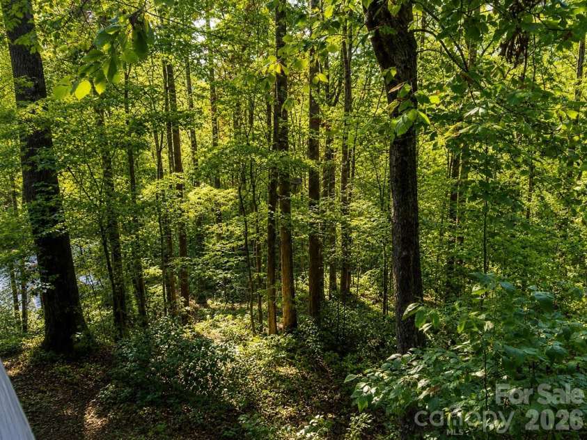 721 Bear Creek Lane, Saluda, NC 28773.  MLS# CAR4403614, YatesRealty ID 38840. 