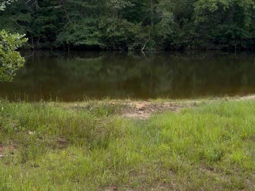 1980 Kadena Lane, York, SC 29745.  MLS# CAR4406166, YatesRealty ID 38894. POTENTIAL BEACH OR PIER SITE