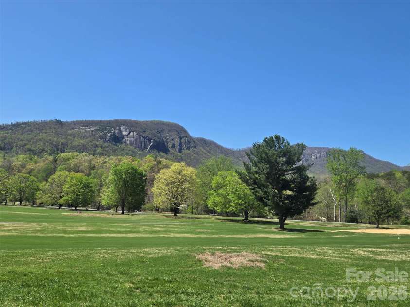 156 Lake Drive, Lake Lure, NC 28746.  MLS# CAR4406437, YatesRealty ID 39040. 