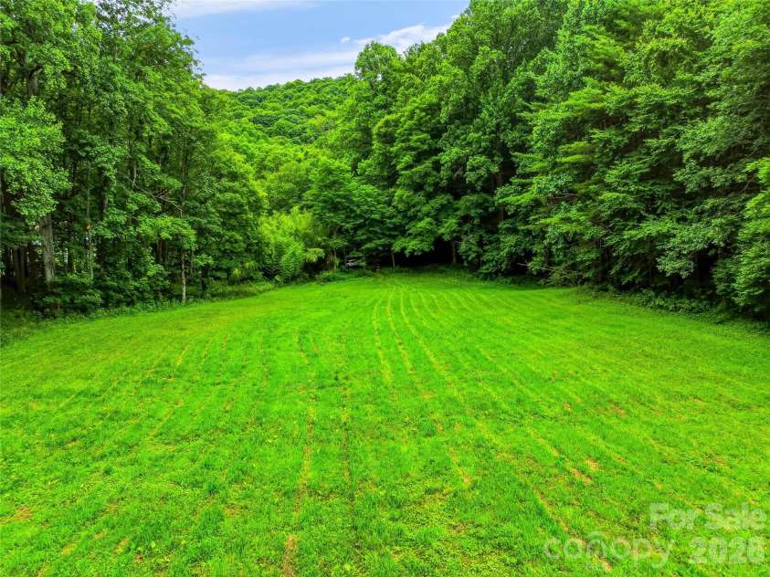 961 Wilson Branch Road, Mars Hill, NC 28754.  MLS# CAR4406664, YatesRealty ID 39042. Pasture