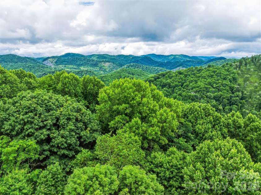 961 Wilson Branch Road, Mars Hill, NC 28754.  MLS# CAR4406664, YatesRealty ID 39042. Ridge tops