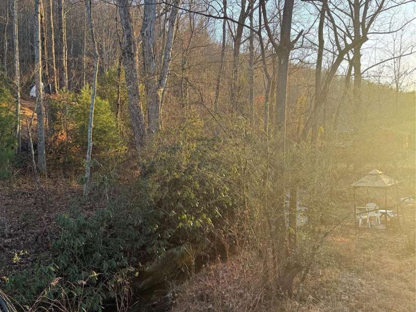 2828 Pine Street, Mount Airy, NC 27030.  MLS# CAR4331488, YatesRealty ID 3906. 
