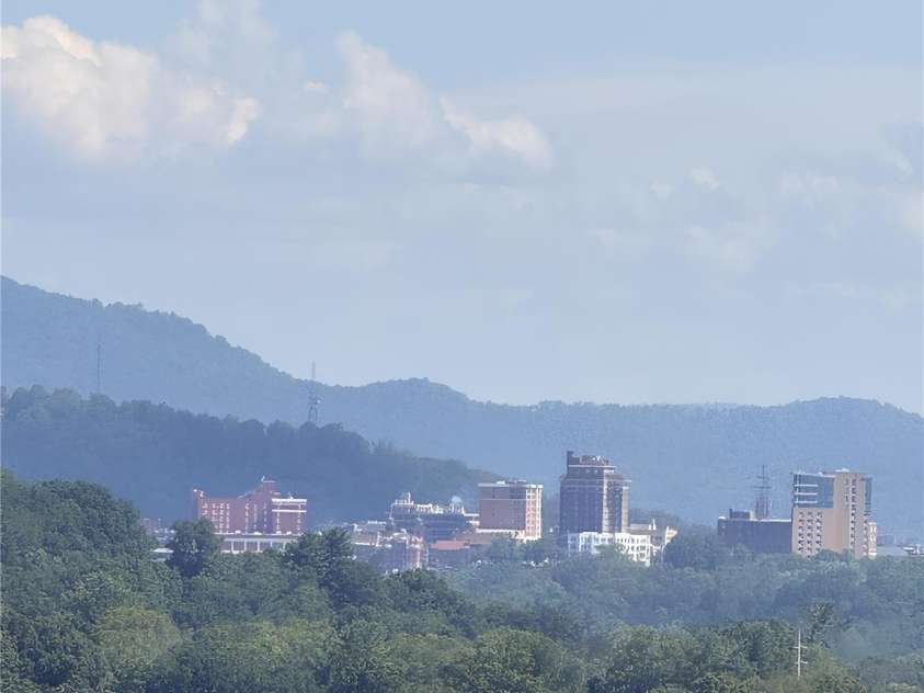 16 Audubon Drive, Asheville, NC 28804.  MLS# CAR4397266, YatesRealty ID 39158. 