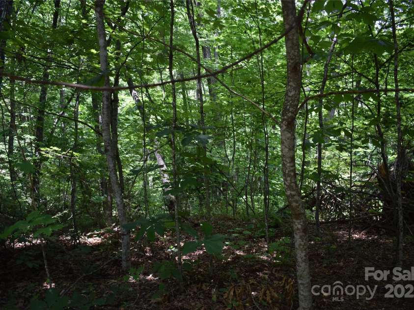 50 Firefly Springs Lane, Candler, NC 28715.  MLS# CAR4287482, YatesRealty ID 3917. 
