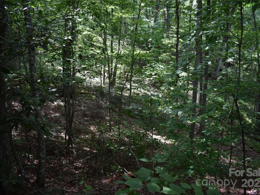 50 Firefly Springs Lane, Candler, NC 28715.  MLS# CAR4287482, YatesRealty ID 3917. 