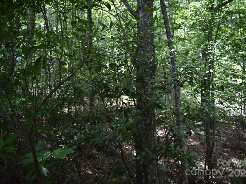 50 Firefly Springs Lane, Candler, NC 28715.  MLS# CAR4287482, YatesRealty ID 3917. 
