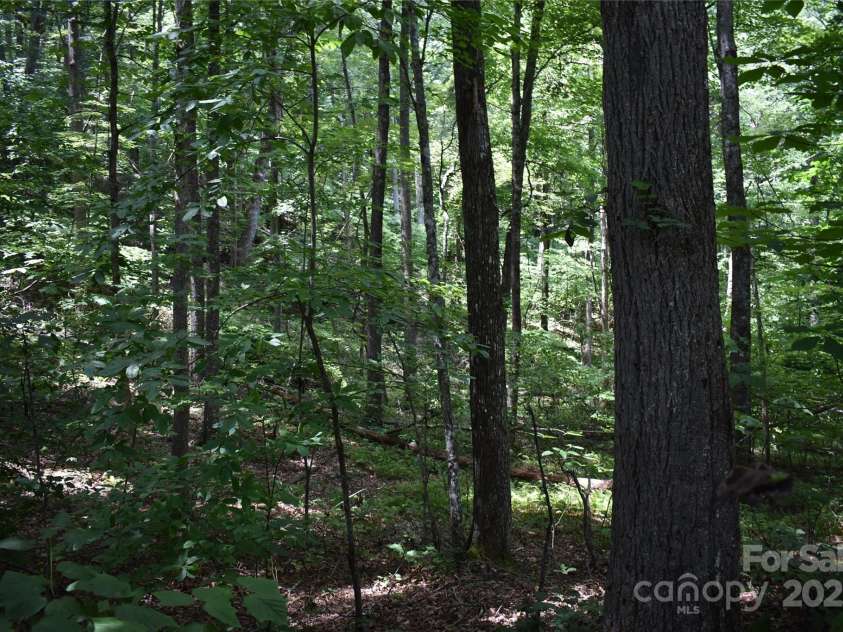 50 Firefly Springs Lane, Candler, NC 28715.  MLS# CAR4287482, YatesRealty ID 3917. 