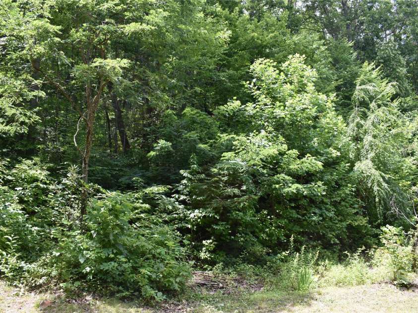 50 Firefly Springs Lane, Candler, NC 28715.  MLS# CAR4287482, YatesRealty ID 3917. 