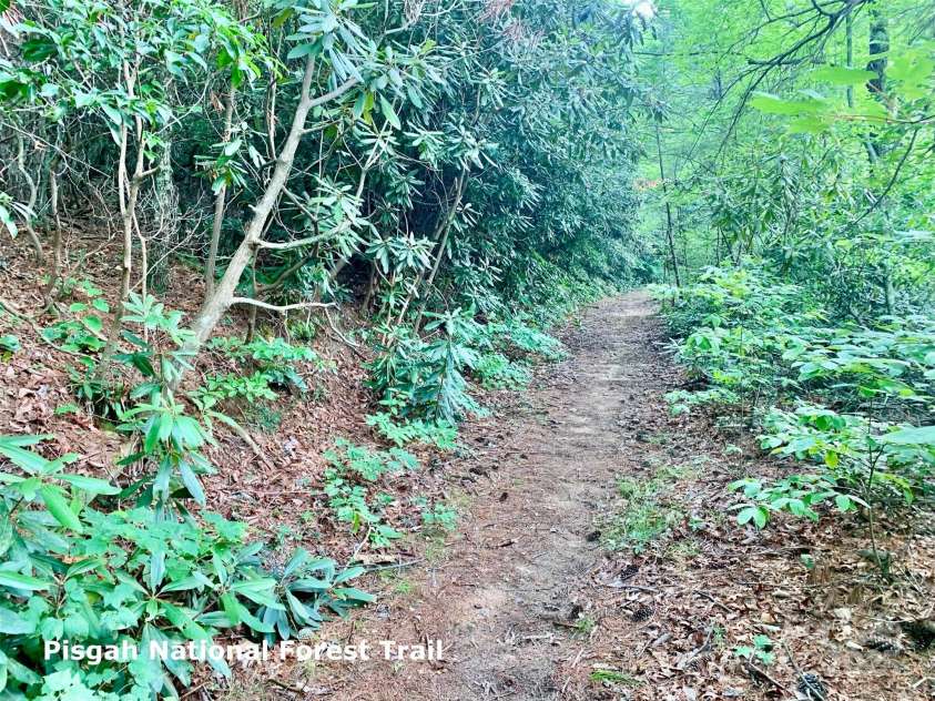 4040 Altavista Way, Lenoir, NC 28645.  MLS# CAR4234332, YatesRealty ID 3918. 