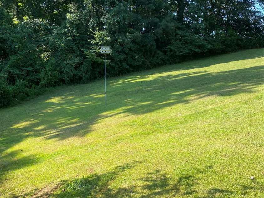 146 Duck Cove Road, Belmont, NC 28012.  MLS# CAR4405510, YatesRealty ID 39287. Side yard