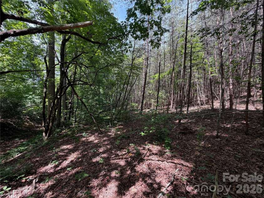 5022 Old NC 18 Highway, Connelly Springs, NC 28612.  MLS# CAR4406749, YatesRealty ID 39383. 