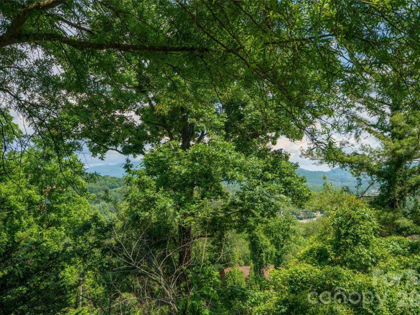 32 Delano Road, Asheville, NC 28805.  MLS# CAR4385729, YatesRealty ID 39488. 
