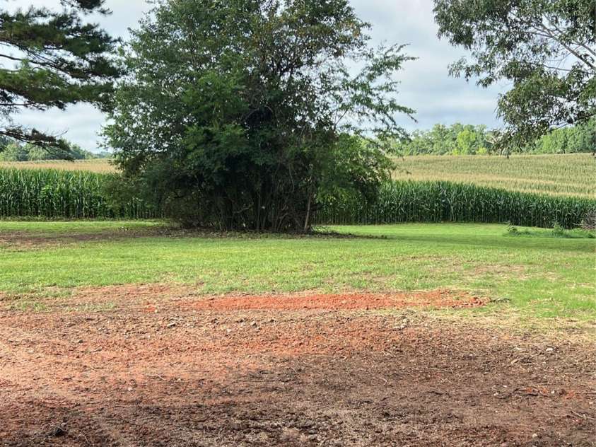 1879 Shiloh Road, Claremont, NC 28610.  MLS# CAR4406276, YatesRealty ID 39533. Side Yard
