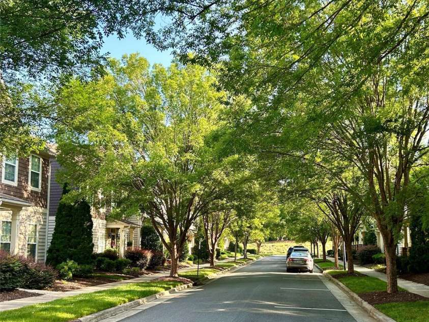 8335 Viewpoint Lane, Cornelius, NC 28031.  MLS# CAR4393195, YatesRealty ID 39575. Beautiful tree liine street