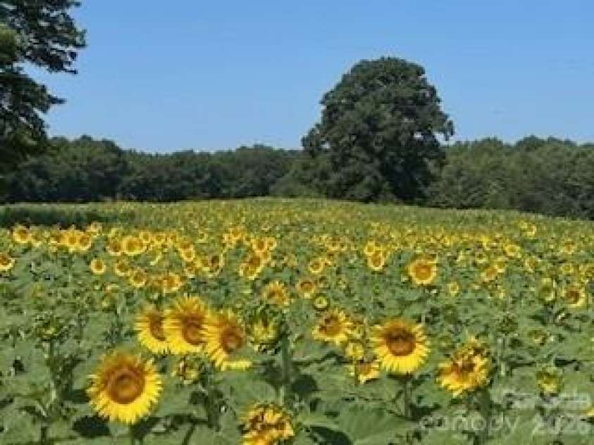 153 Badenyon Place, Union Grove, NC 28689.  MLS# CAR4229151, YatesRealty ID 3963. 