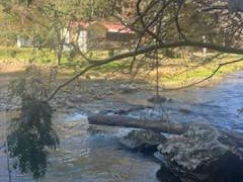 530 Rebel Ridge Road, Marshall, NC 28753.  MLS# CAR4280737, YatesRealty ID 3972. 