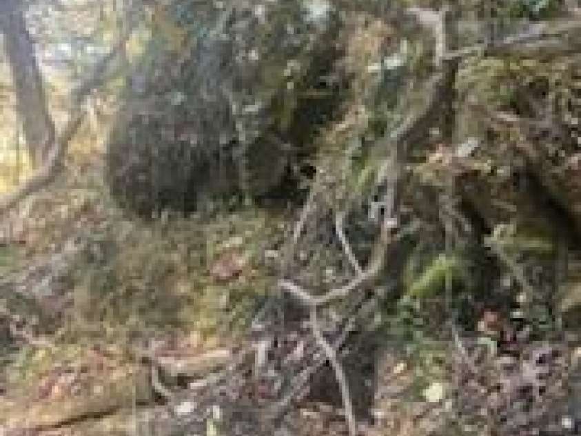 530 Rebel Ridge Road, Marshall, NC 28753.  MLS# CAR4280737, YatesRealty ID 3972. Beutiful boulder outcropping