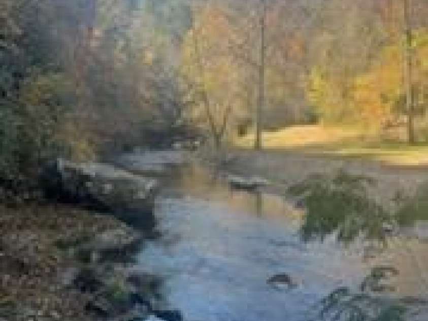 530 Rebel Ridge Road, Marshall, NC 28753.  MLS# CAR4280737, YatesRealty ID 3972. Own 400' of Big Laurel Creek frontage