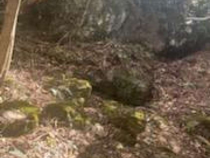 530 Rebel Ridge Road, Marshall, NC 28753.  MLS# CAR4280737, YatesRealty ID 3972. Trail down to river