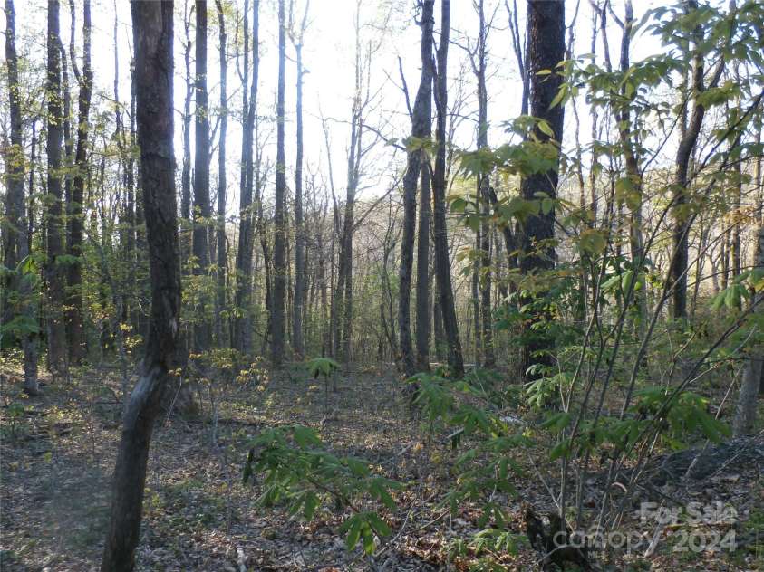 288 Firetower Road, Spruce Pine, NC 28777.  MLS# CAR4135750, YatesRealty ID 3973. 