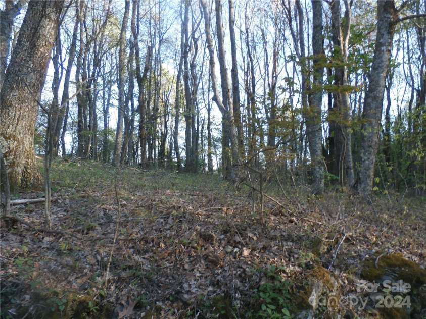 288 Firetower Road, Spruce Pine, NC 28777.  MLS# CAR4135750, YatesRealty ID 3973. 