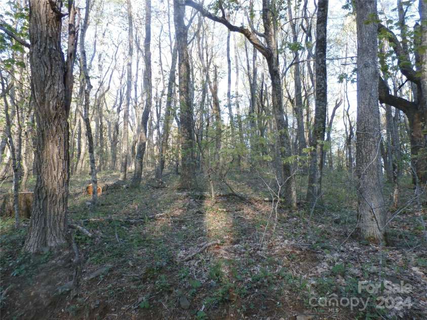 288 Firetower Road, Spruce Pine, NC 28777.  MLS# CAR4135750, YatesRealty ID 3973. Additional land