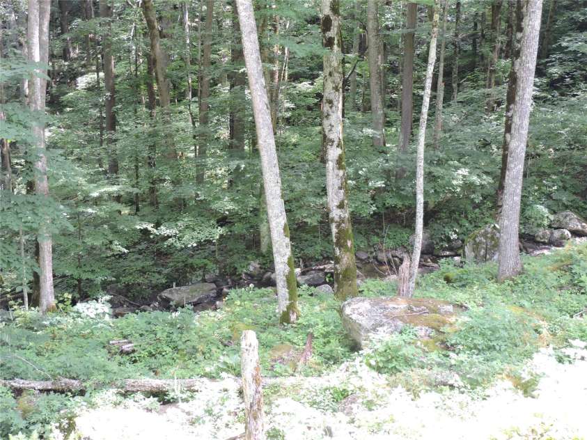 103 Chucks Lane, Bakersville, NC 28705.  MLS# CAR4281725, YatesRealty ID 3974. 