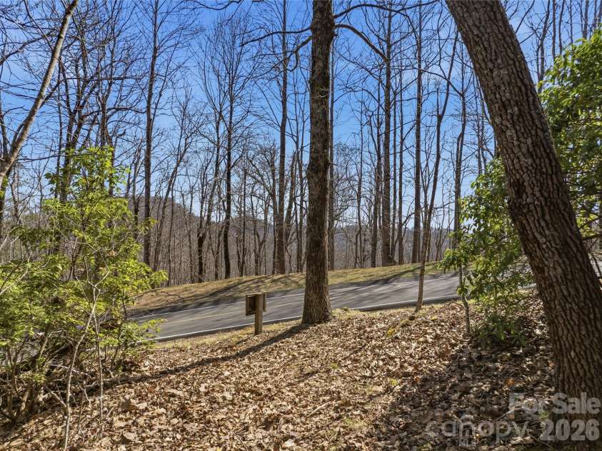 0000 Panther Mountain Road, Zirconia, NC 28790.  MLS# CAR4406657, YatesRealty ID 39758. 
