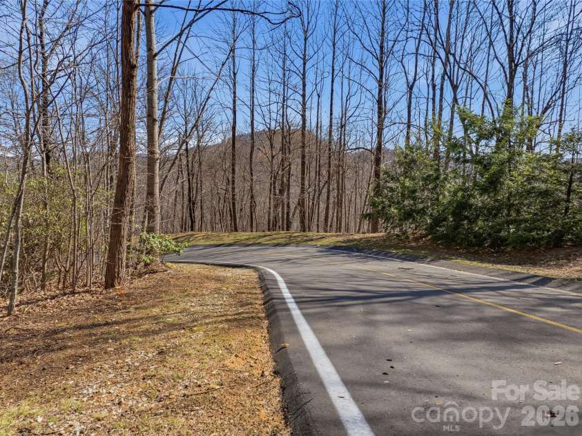 0000 Panther Mountain Road, Zirconia, NC 28790.  MLS# CAR4406657, YatesRealty ID 39758. 