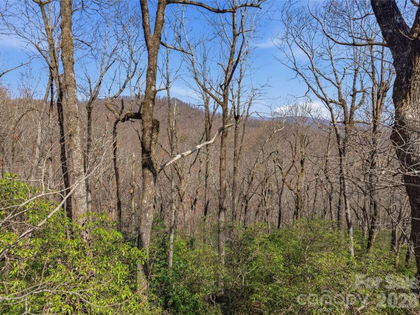 0000 Panther Mountain Road, Zirconia, NC 28790.  MLS# CAR4406657, YatesRealty ID 39758. 