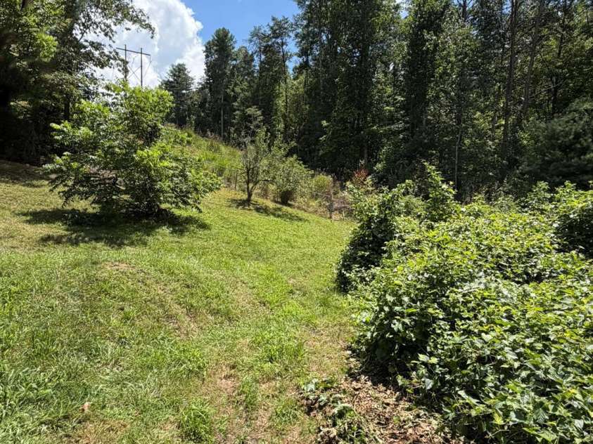 142 Avondale Road, Asheville, NC 28803.  MLS# CAR4406628, YatesRealty ID 39760. 