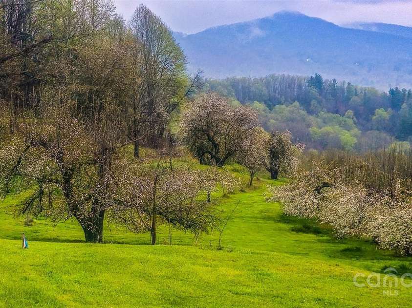 23022 Linville Falls Highway, Linville Falls, NC 28647.  MLS# CAR4178209, YatesRealty ID 3981. Apple Orchard a short drive up the Parkway