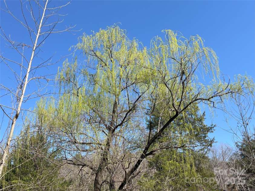 126 Lazy Acres Lane, Lake Lure, NC 28746.  MLS# CAR4227770, YatesRealty ID 400. 