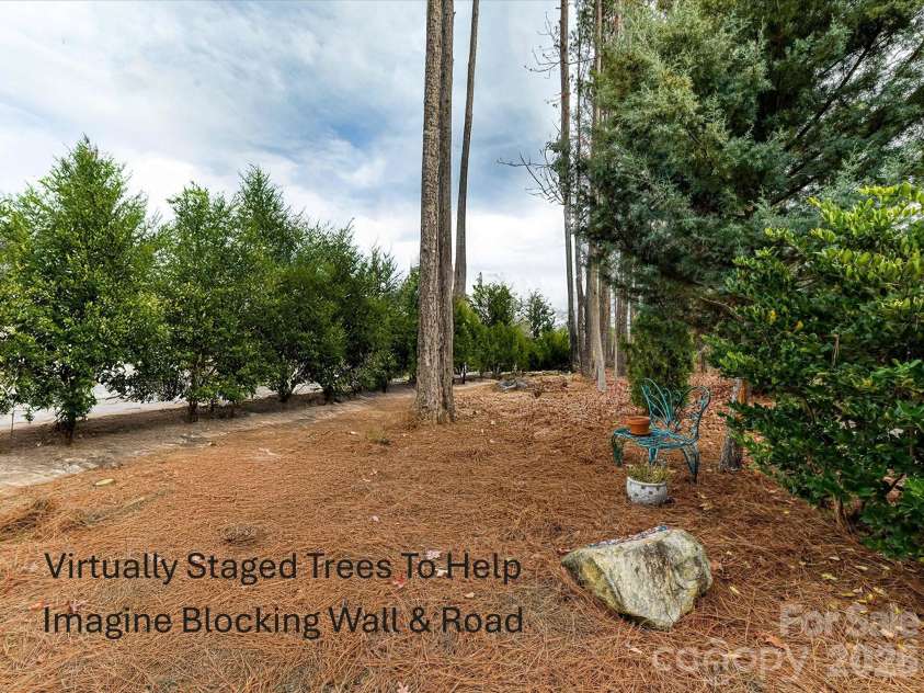 3619 Savannah Hills Drive, Matthews, NC 28105.  MLS# CAR4325650, YatesRealty ID 4004. Virtually planted trees to show how to help block wall and road