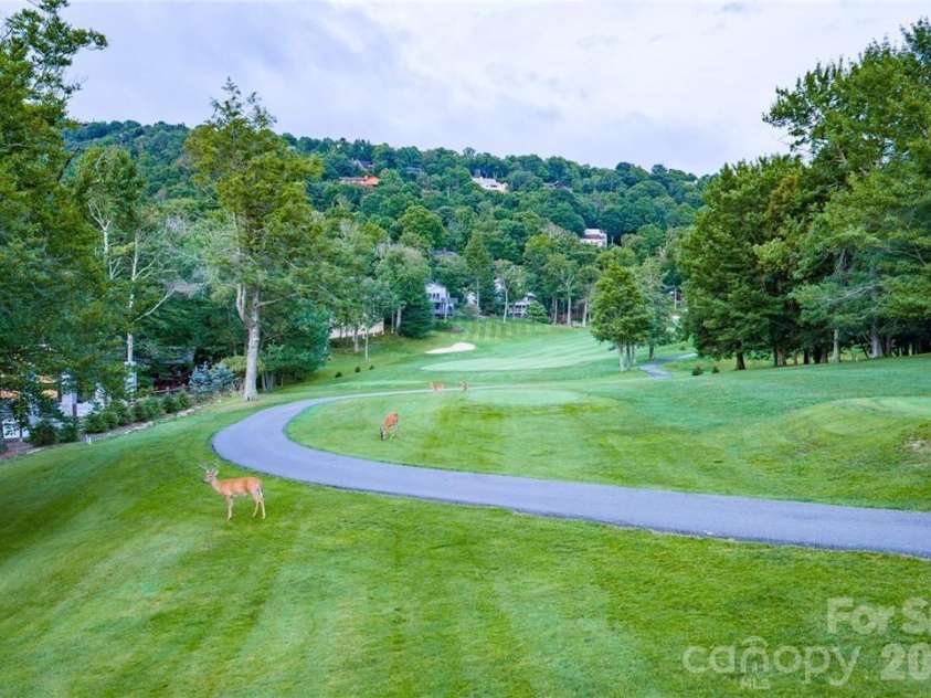 107 Grassy Gap Loop Road, Beech Mountain, NC 28604.  MLS# CAR4408142, YatesRealty ID 40082. 