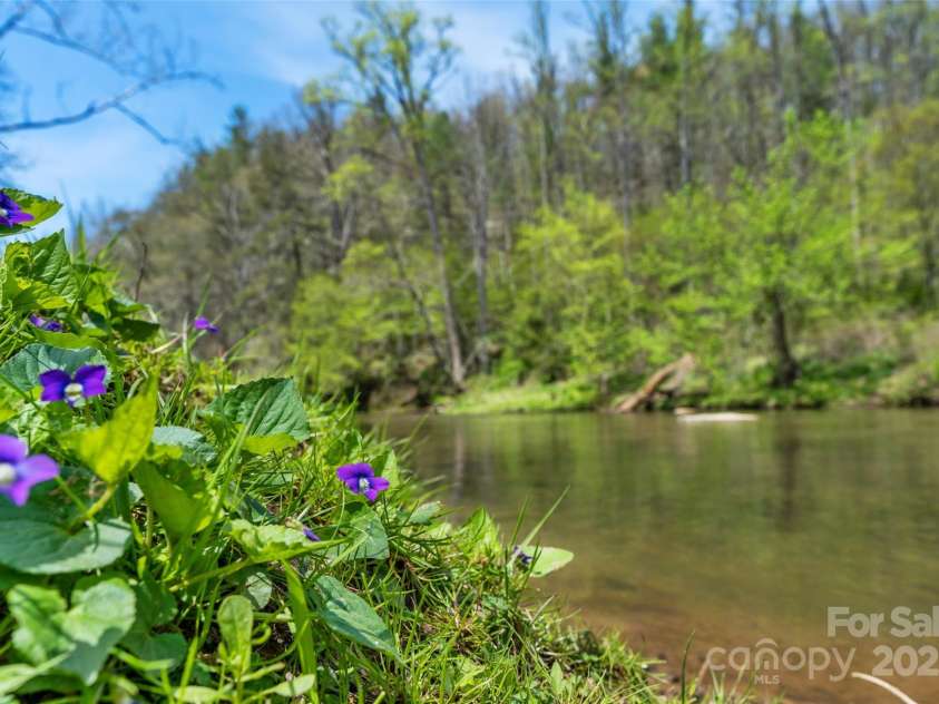 3717 Bend Of Ivy Road, Marshall, NC 28753.  MLS# CAR4209288, YatesRealty ID 401. Flowers in bloom