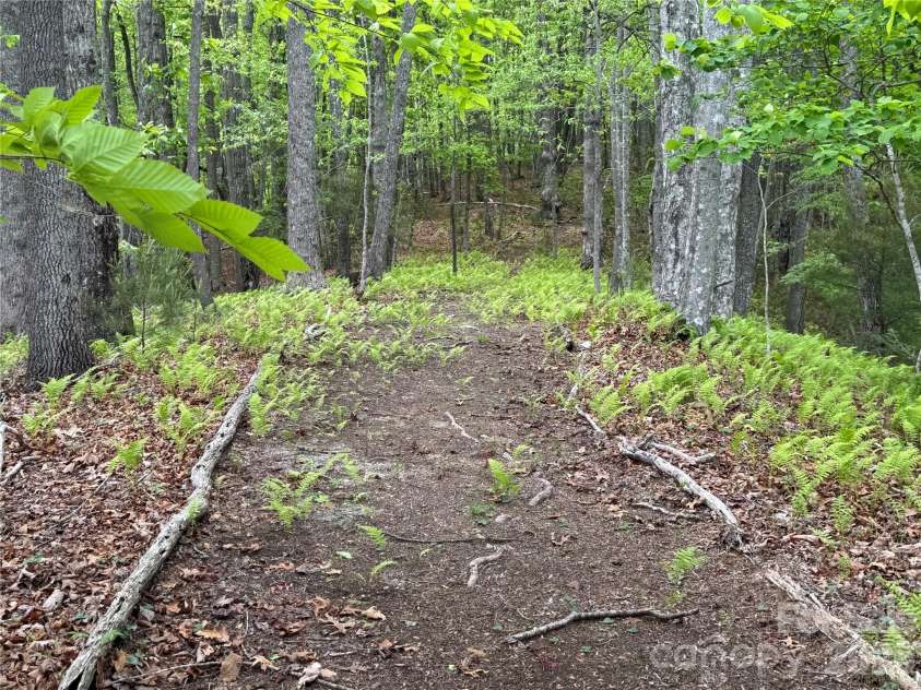 280 Laurel Creek, Cedar Mountain, NC 28718.  MLS# CAR4399480, YatesRealty ID 40102. 