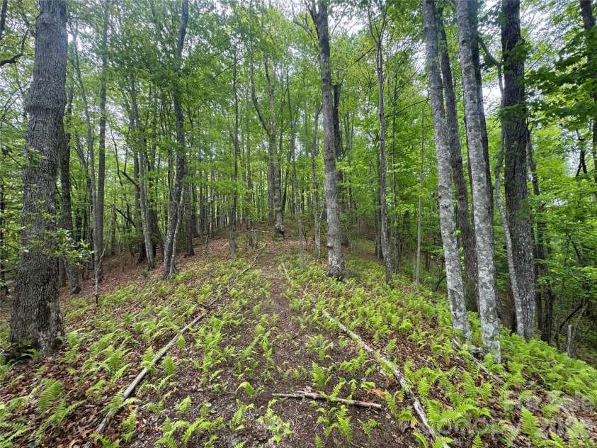 280 Laurel Creek, Cedar Mountain, NC 28718.  MLS# CAR4399480, YatesRealty ID 40102. 