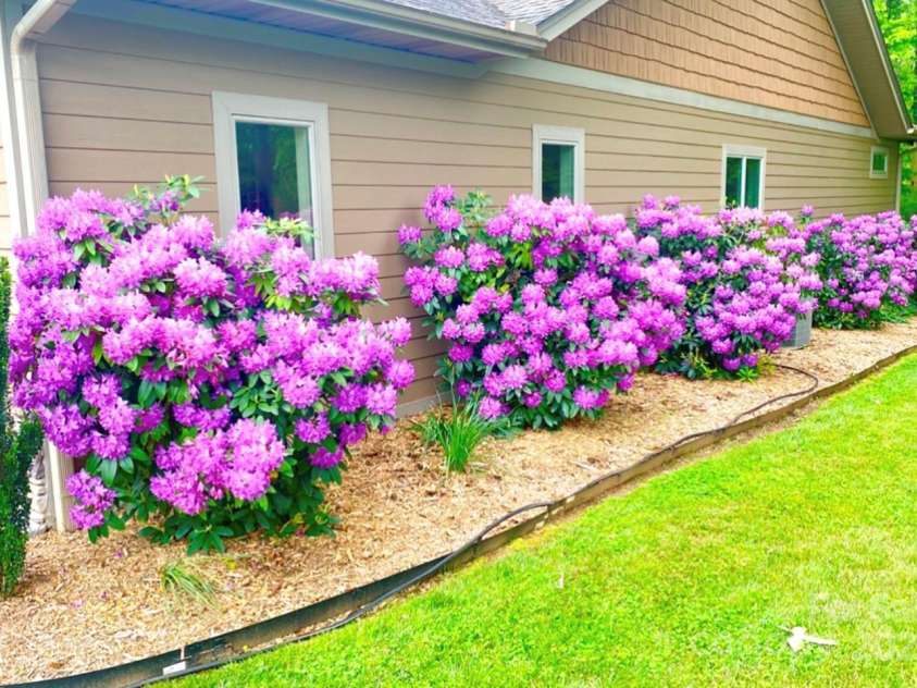178 Sapphire Place, Clyde, NC 28721.  MLS# CAR4235049, YatesRealty ID 4016. Spring in Bloom