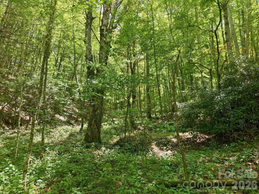 1158 Dark Ridge Road, Sylva, NC 28779.  MLS# CAR4407503, YatesRealty ID 40166. 