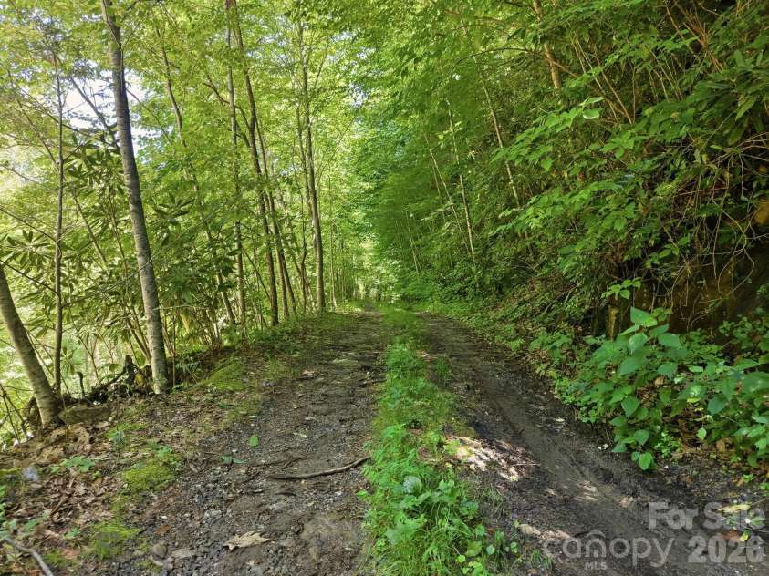1158 Dark Ridge Road, Sylva, NC 28779.  MLS# CAR4407503, YatesRealty ID 40166. 