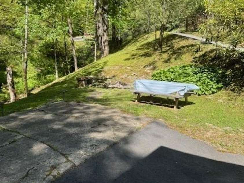 918 Plott Balsam Road, Maggie Valley, NC 28751.  MLS# CAR4383857, YatesRealty ID 40202. Fire Pit and Picnic Area