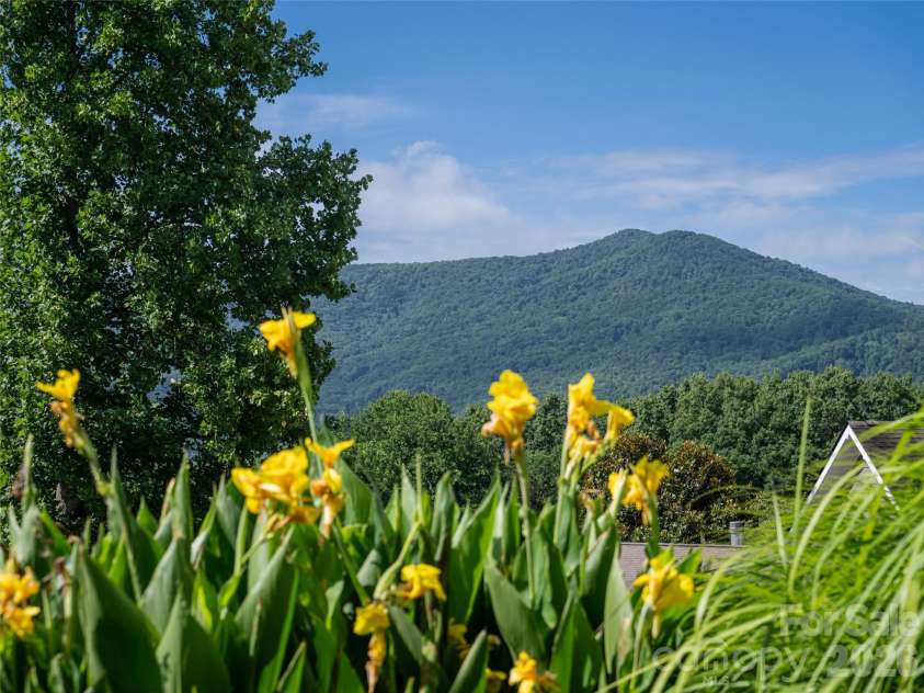 125 Craggy Street, Black Mountain, NC 28711.  MLS# CAR4407539, YatesRealty ID 40218. Ahhh ....