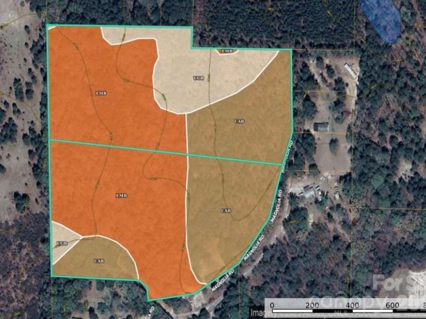 3133 Magnolia Road, Bennettsville, SC 29512.  MLS# CAR4376342, YatesRealty ID 40227. Soil Map of both Parcels