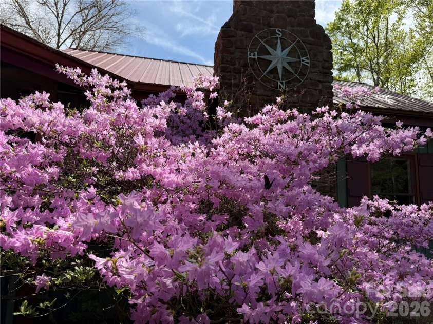 1590 Shulls Mill Road, Boone, NC 28607.  MLS# CAR4389715, YatesRealty ID 40251. 