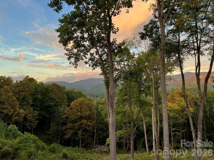 1185 & 1115 Black Bear Drive, Mars Hill, NC 28754.  MLS# CAR4406923, YatesRealty ID 40260. 