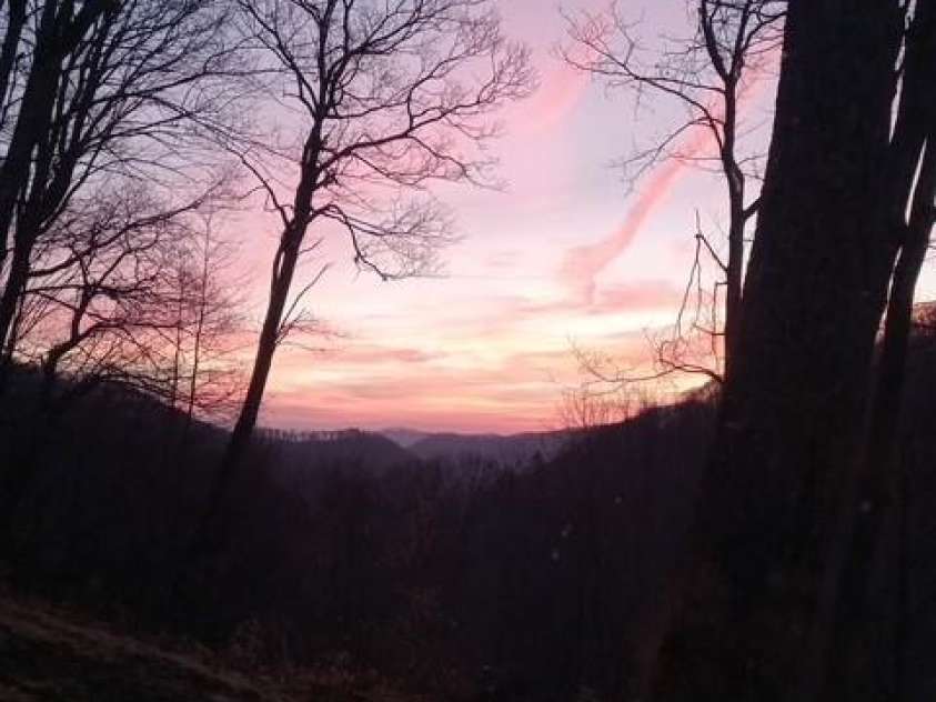 673 Chestnut Lane, Mars Hill, NC 28754.  MLS# CAR4409311, YatesRealty ID 40336. Amazing Sunrise